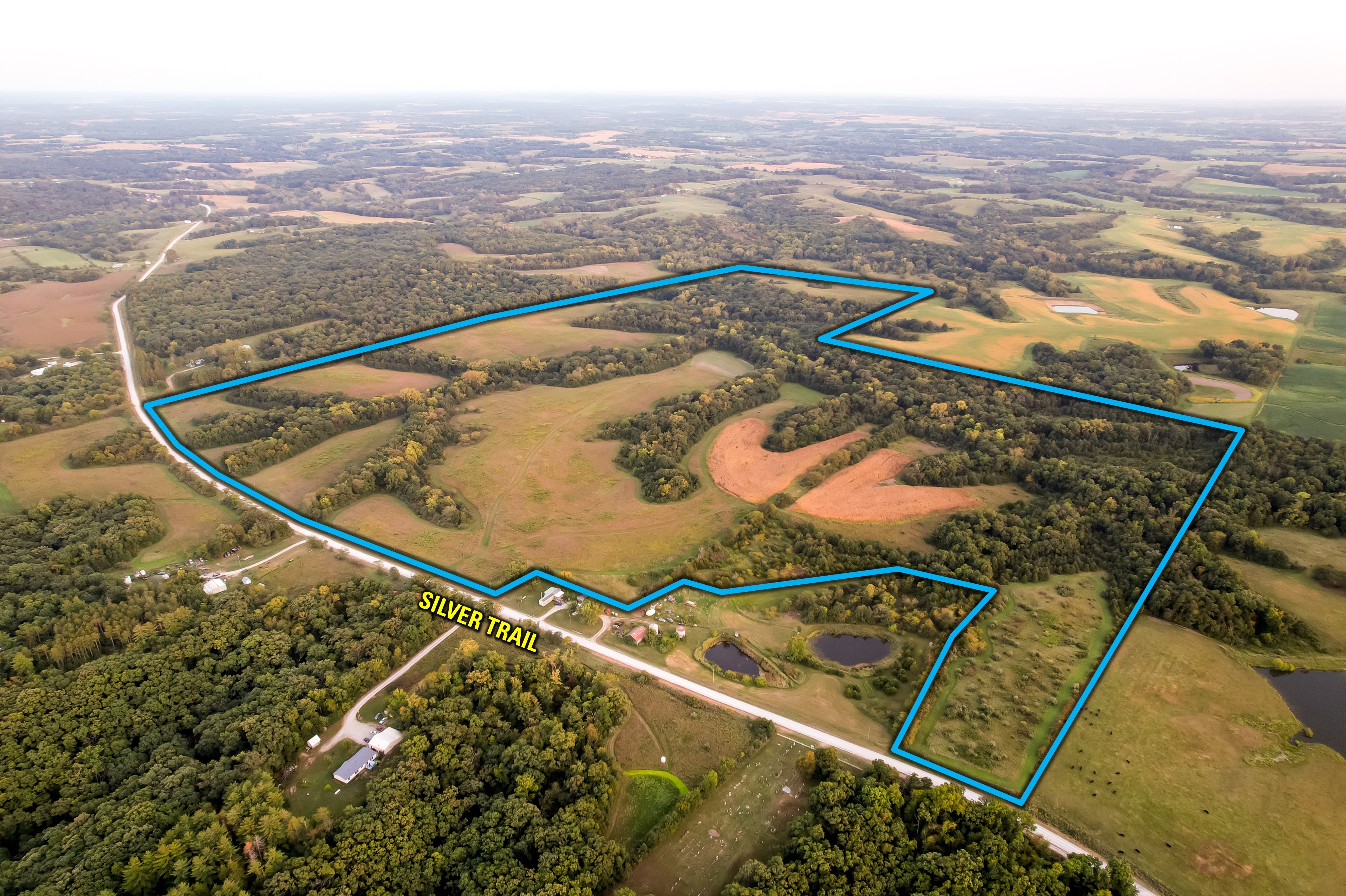 Listing #19142